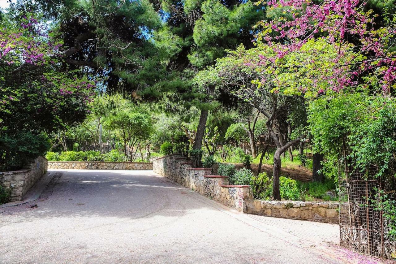 Charming Apartment Near Panathenaic Stadium エクステリア 写真